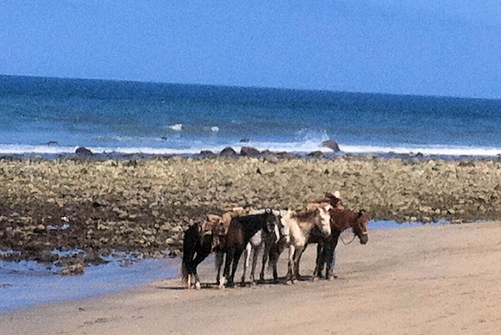Mexico 049.jpg